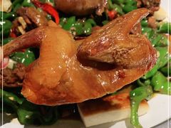 -鸽子侯·家宴·平价海鲜(市图书馆店)