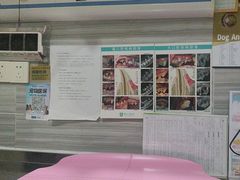 -瑞派名望志远动物医院·猫科·內科·异宠专科(直港大道店)