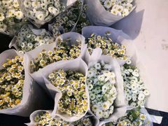 -循礼门鲜花花市(武汉循礼门店)