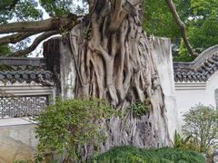 -墨池公园