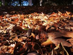 -艾溪湖湿地公园