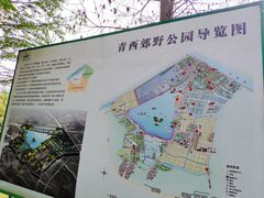 -上海新江南大酒店-中餐厅