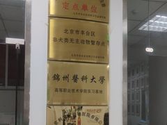 -利又安动物医院··老年病·猫科犬科·中兽医