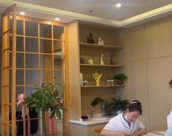 -Dr.林醫生产后修复·配方产康店(南京大厂店)