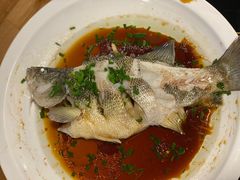 鲜活清水鲈鱼-盒马鲜生(杭州运河上街店)