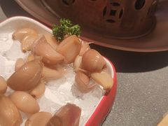 -额尔敦草原涮羊肉·烧烤(冻青树总店)