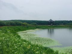 -塞罕坝国家级自然保护区