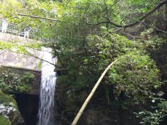 -藏龙百瀑风景区