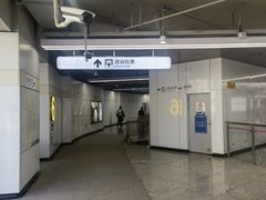 -东方体育中心(地铁站)