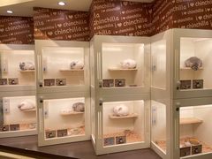 -龙猫仔乐园(惠福东路店)