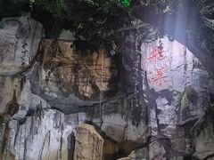-泉城欧乐堡海洋极地世界
