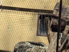 -青藏高原野生动物园