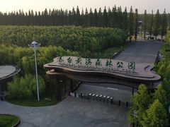 -黄海国家森林公园