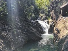 -广州白江湖森林公园