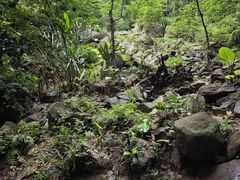 -火炉山森林公园