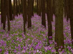 -共青国家森林公园-售票处