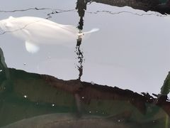 -蓝湾碧波·老字号·疍家非遗海上餐厅