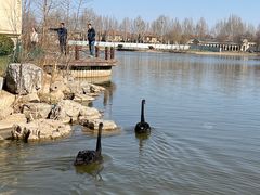 -龙熙维景国际会议中心