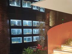 -鱼翅楼·津派砂锅鱼翅(水上公园店)