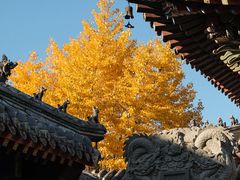 -长安寺