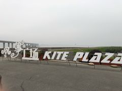 -漩门湾国家湿地公园