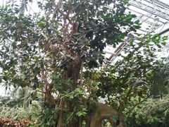 -南山植物园