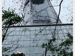 -上海新锦江大酒店