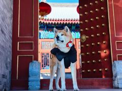 -盛世南宫影视城(北普陀影视城)