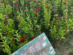 -汉长安城未央宫国家考古遗址公园