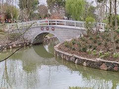 -鹅湖玫瑰文化园