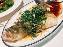 -洞庭家宴·头牌甲鱼(广渠门店)