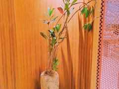 -二酉书店TOYOU BOOKS