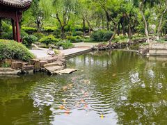 -朱家角课植园
