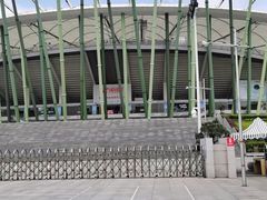 -深圳市宝安体育中心体育场