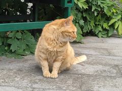 -大钟寺古钟博物馆