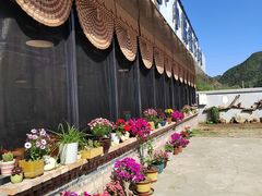 -遇见小院—虹鳟鱼•农家菜(怀柔店)