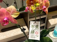 -海底捞火锅(万达广场店)