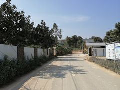 -光明小镇欢乐田园