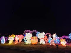 -大塘金香草谷