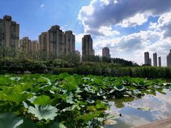 -前关湿地公园