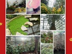 -南山植物园