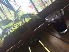 -Rainforest