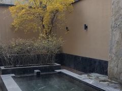 -清河半岛温泉度假酒店