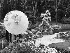 -上海共青森林公园