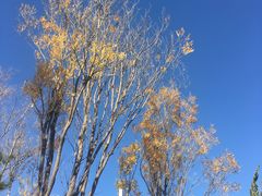 -中关村生命科学园