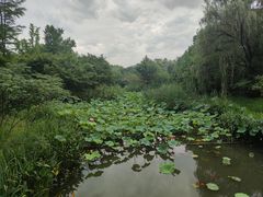 -昆山城市生态森林公园