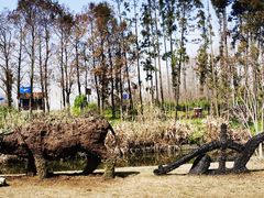 -上海长兴岛郊野公园