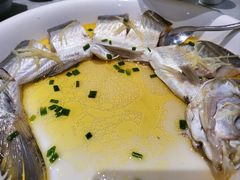 -熠盛粤味·顺德桑拿鸡(永康路店)
