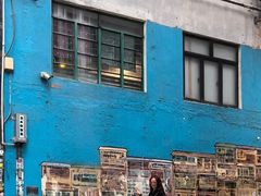 -中环半山扶手电梯