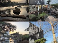 -罗红摄影艺术馆